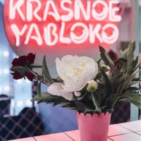 салон красоты krasnoe yabloko на нахимовском проспекте изображение 4