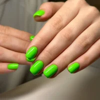 салон бархатный берег изображение 15