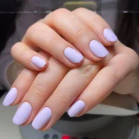 салон бархатный берег изображение 2